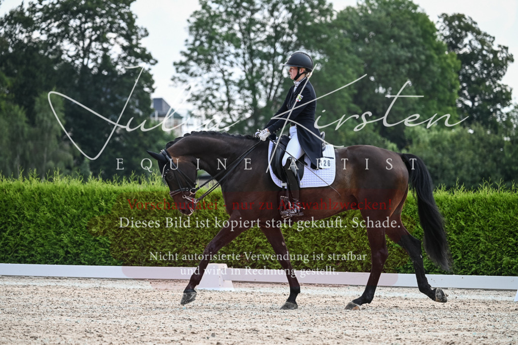 DSC_2298 | Pferde- und Turnierfotografie in Westsachsen. Pferdeportraits, Auftragszeichnungen und intuitive Kunst.