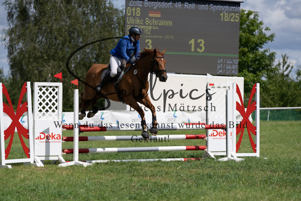 A7V04559 | Pferdefotograf