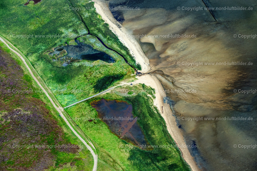 Sylt_Braderup_Strand_ELS_4542130825 | WENNINGSTEDT-BRADERUP (SYLT) 13.08.2025 Küstenbereich mit Strandabschnitt an der Wattseite von Wenningstedt-Braderup (Sylt) im Bundesland Schleswig-Holstein. // Coastal area with beach section on the mudflat side of Wenningstedt-Braderup (Sylt) in the federal state of Schleswig-Holstein. Foto: Martin Elsen