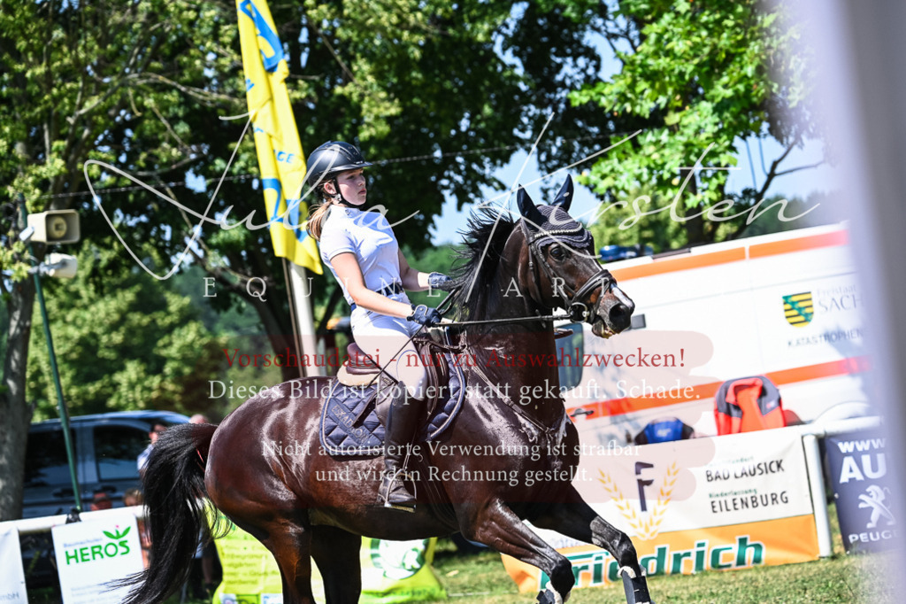 DSC_1012 | Pferde- und Turnierfotografie in Westsachsen. Pferdeportraits, Auftragszeichnungen und intuitive Kunst.