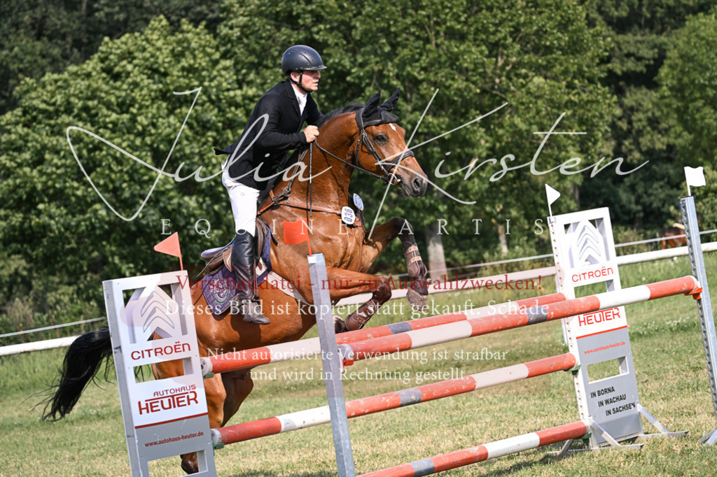 DSC_1079 | Pferde- und Turnierfotografie in Westsachsen. Pferdeportraits, Auftragszeichnungen und intuitive Kunst.