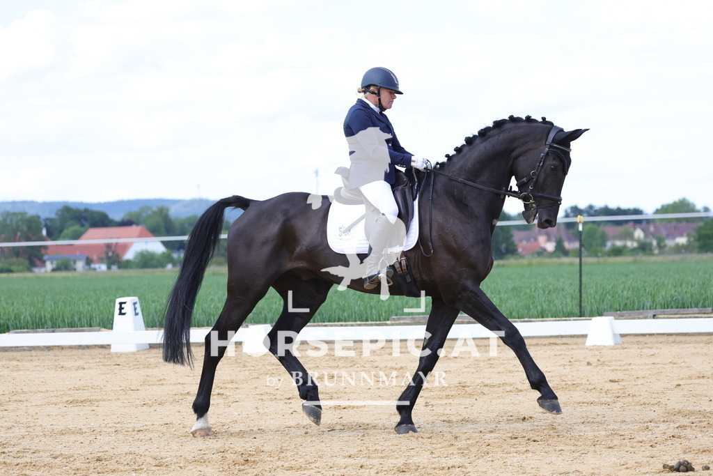 0P6A9072 | Willkommen bei Brunnmayr - Design & Fotografie – Ihrem Spezialisten für Reitturniere und Pferdeveranstaltungen in Oberösterreich, Salzburg und Bayern! Seit über 17 Jahren sind wir leidenschaftlich dabei.