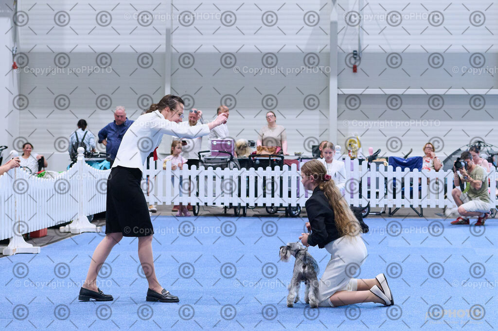 202406_ÖKV-IHA-Tulln24_DSC_3538 | proPHOTO - Realisiert mit Pictrs.com