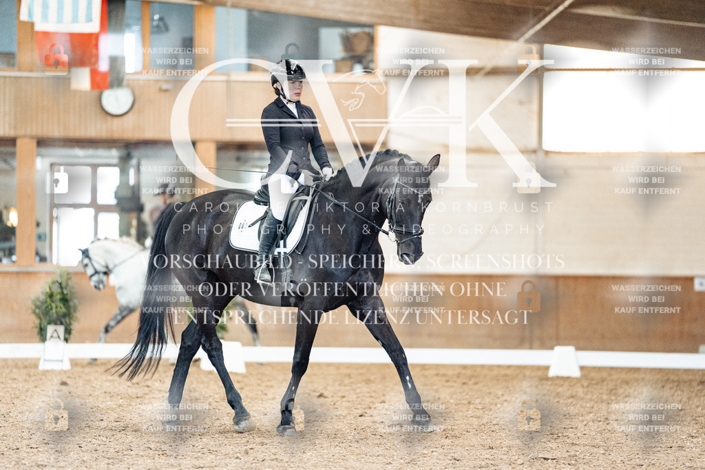 CK909461 | Turnierfotografie Pferdefotografie Trier Rheinland-Pfalz Pferdesport Reitsport Tierfotografie Sportfotografie Pferdevideo Pferdevideografie Equestrianvideography equestrianphotography  - Realisiert mit Pictrs.com