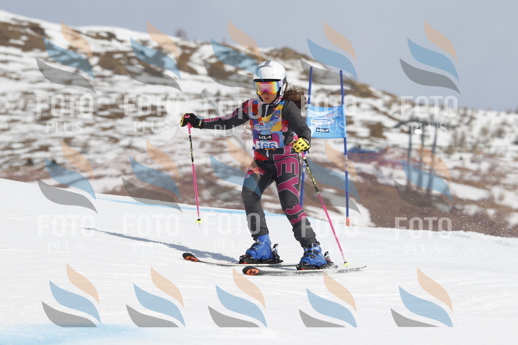 _U3G1462 | holidayphoto