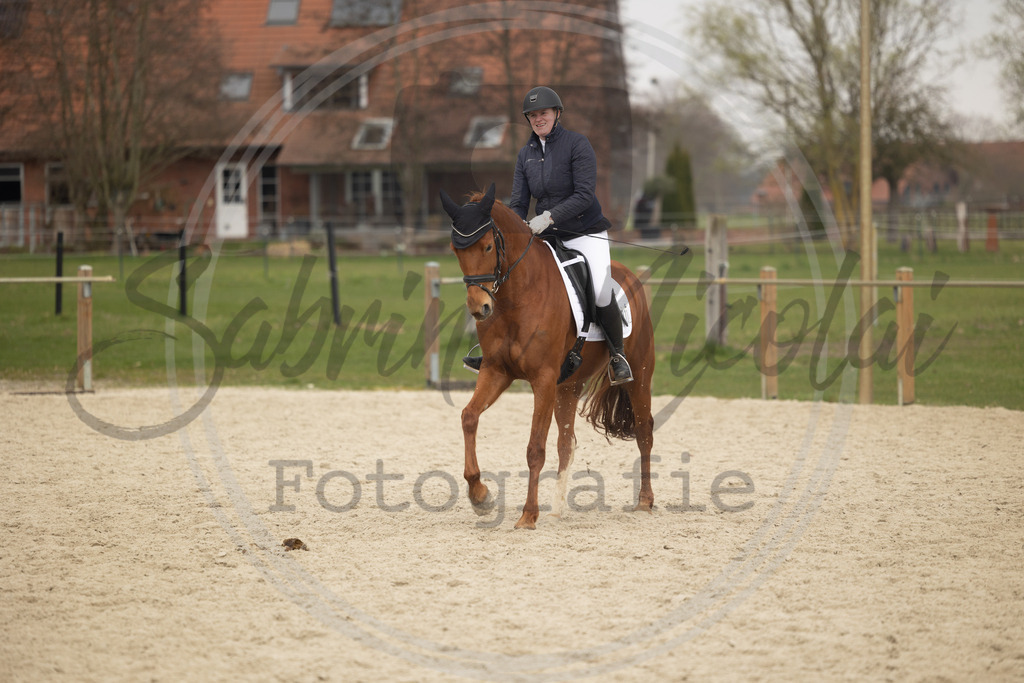 994A9339 | sabrinanicolaifotografie - Realisiert mit Pictrs.com