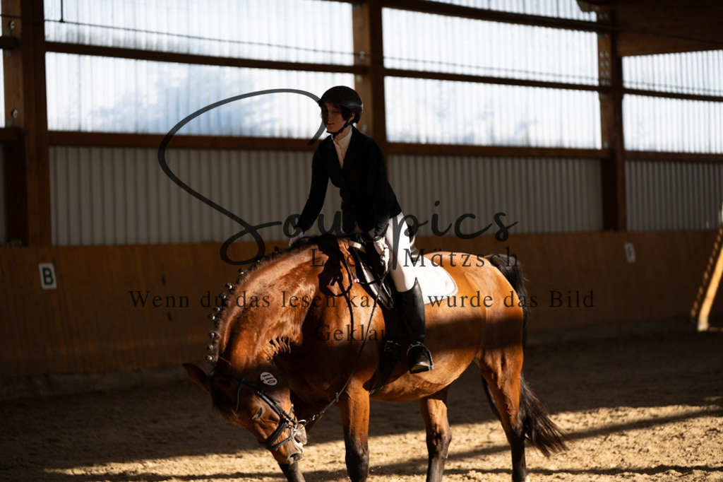 A7V01777 | Pferdefotograf