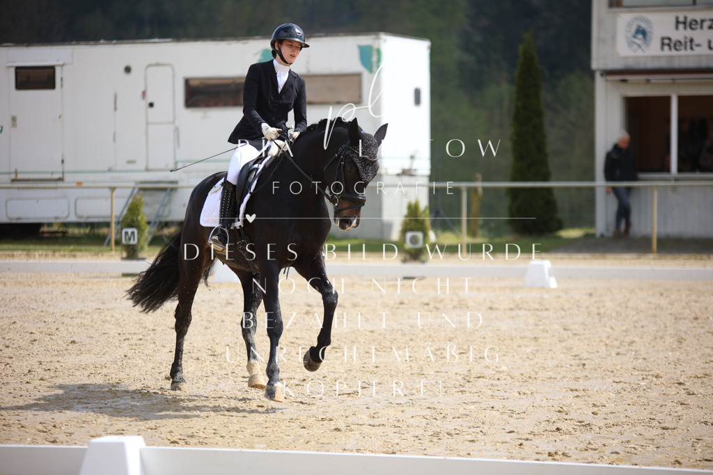 IMGT3699 | pl-fotografie