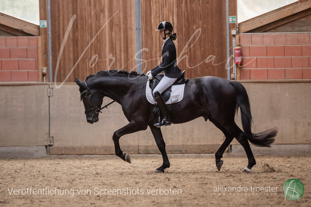 250912_Barop_07_021 | farbklaex.com