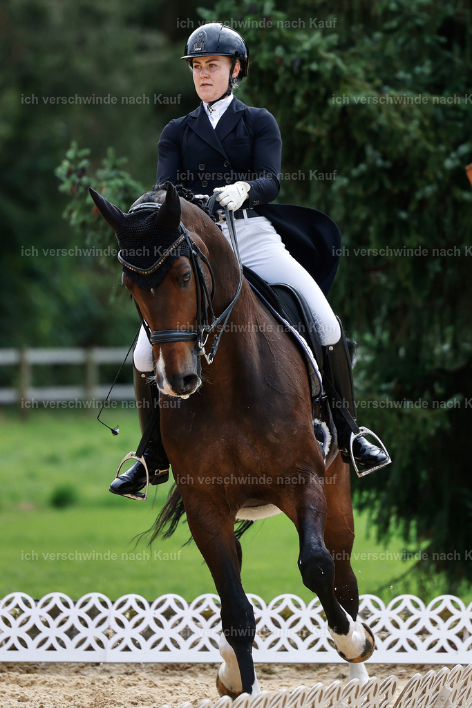 11-091-Dressur S___-StoibPH-1293 | working equitationturnier fotograf videograf stoibphotography marixx film working equitation deutschland reitsport turnierfotografie eventfotografie equestrian events