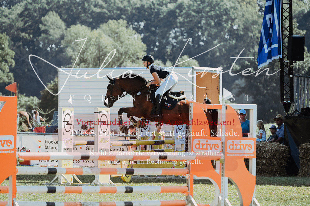 DSC_5820 | Pferde- und Turnierfotografie in Westsachsen. Pferdeportraits, Auftragszeichnungen und intuitive Kunst.