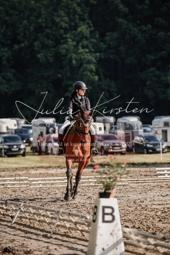 DSC_8516 | Pferde- und Turnierfotografie in Westsachsen. Pferdeportraits, Auftragszeichnungen und intuitive Kunst.