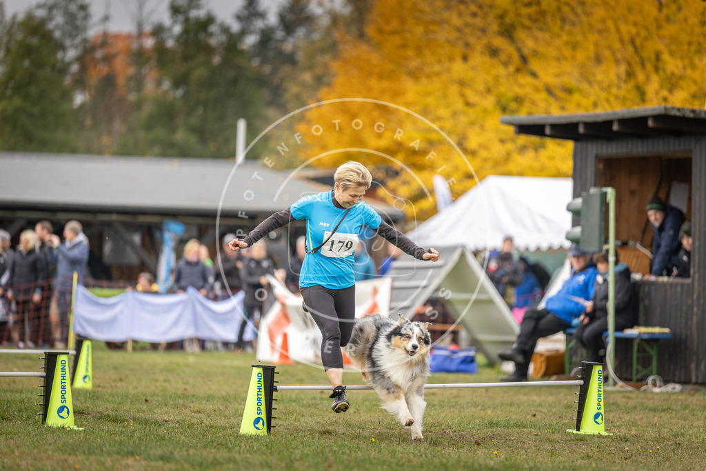 Pfotenfotografie_DV3A5440 | Hundefotografie, Tierfotograf, Pfotenfotografie, Fotoshooting Hund, Hunde Portrait, Hundesport, Hundeportraits, Heideshooting, Hunde, Sportfotograf, Hundefotograf, Turnierhundsport, THS,  - Realisiert mit Pictrs.com