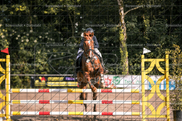 _W6A8707 | ronjaprokoschfotografie - Realisiert mit Pictrs.com