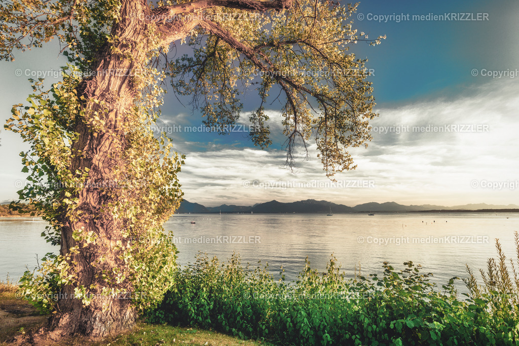 _J3A8439x | medienkrizzler - Realisiert mit Pictrs.com