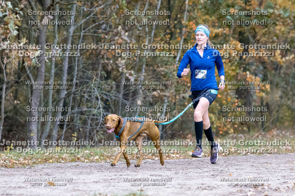 Dog Paparazzi - SD CaniX Championship 2025-127 | Dog Paparazzi Jeanette Grottendiek Fotografie & Videografie - Realisiert mit Pictrs.com