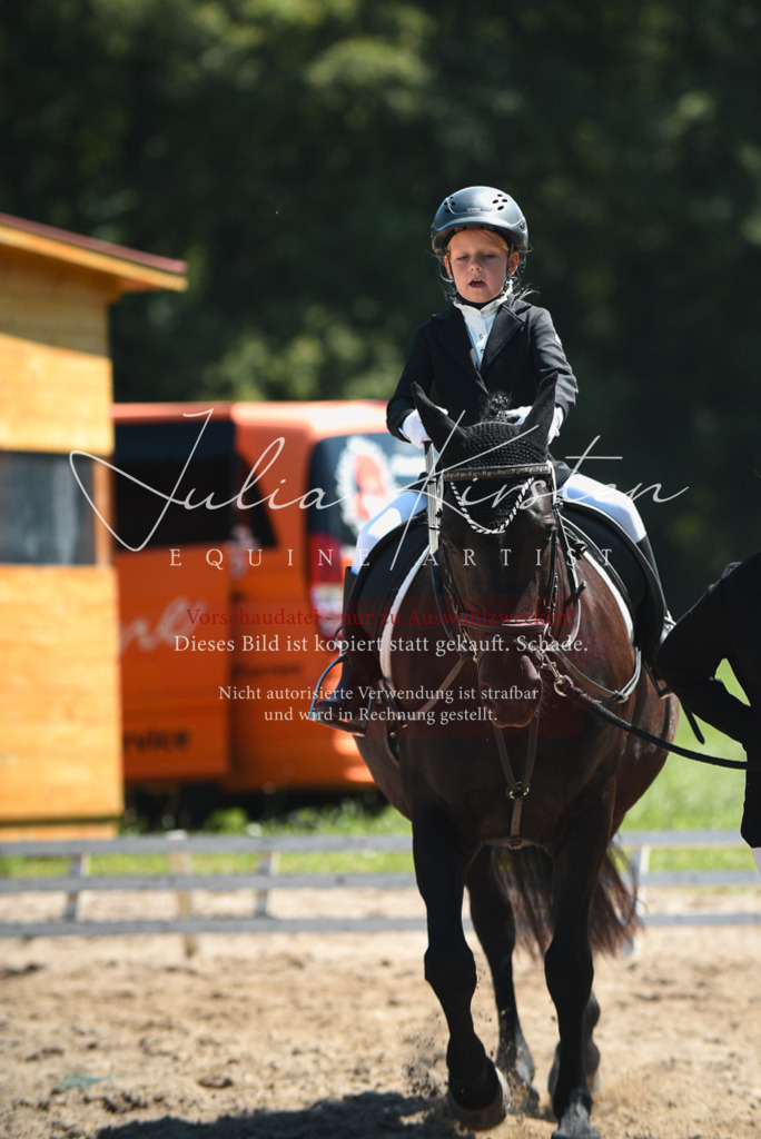DSC_1865 | Pferde- und Turnierfotografie in Westsachsen. Pferdeportraits, Auftragszeichnungen und intuitive Kunst.