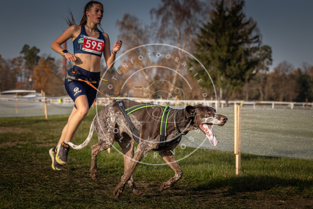 CaniXpix_0L8A9871 | Hundefotografie, Tierfotograf, Pfotenfotografie, Fotoshooting Hund, Hunde Portrait, Hundesport, Hundeportraits, Heideshooting, Hunde, Sportfotograf, Hundefotograf, Turnierhundsport, THS,  - Realisiert mit Pictrs.com