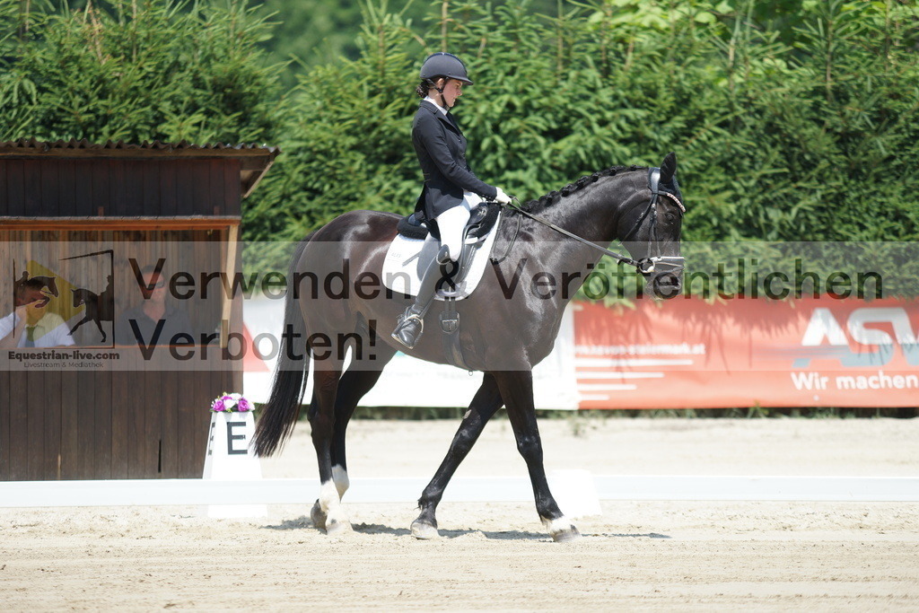 DSC04834 | equestrian-live-com