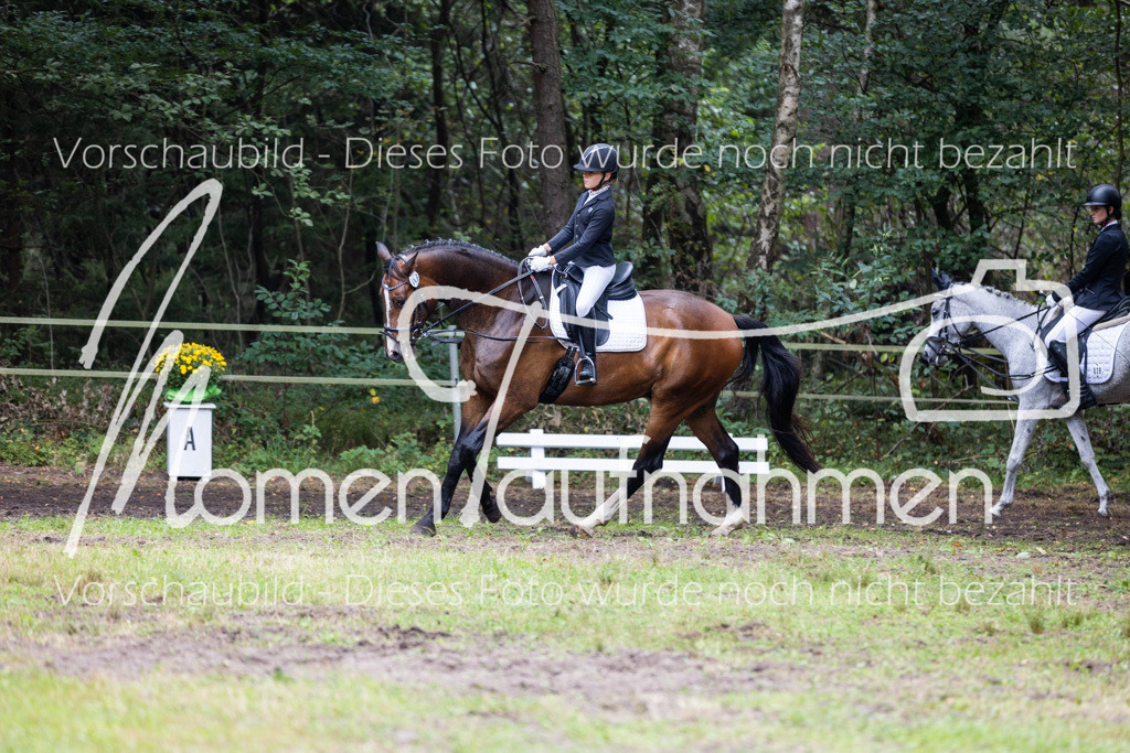 HB-Reiter-WB-003 | MomenTaufnahmen Pferdesportfotos