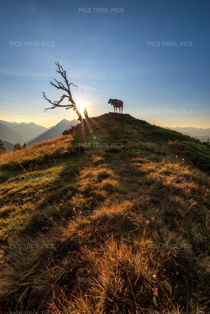 DSC_9258-Verbessert-RR-Bearbeitet | Tirolpics