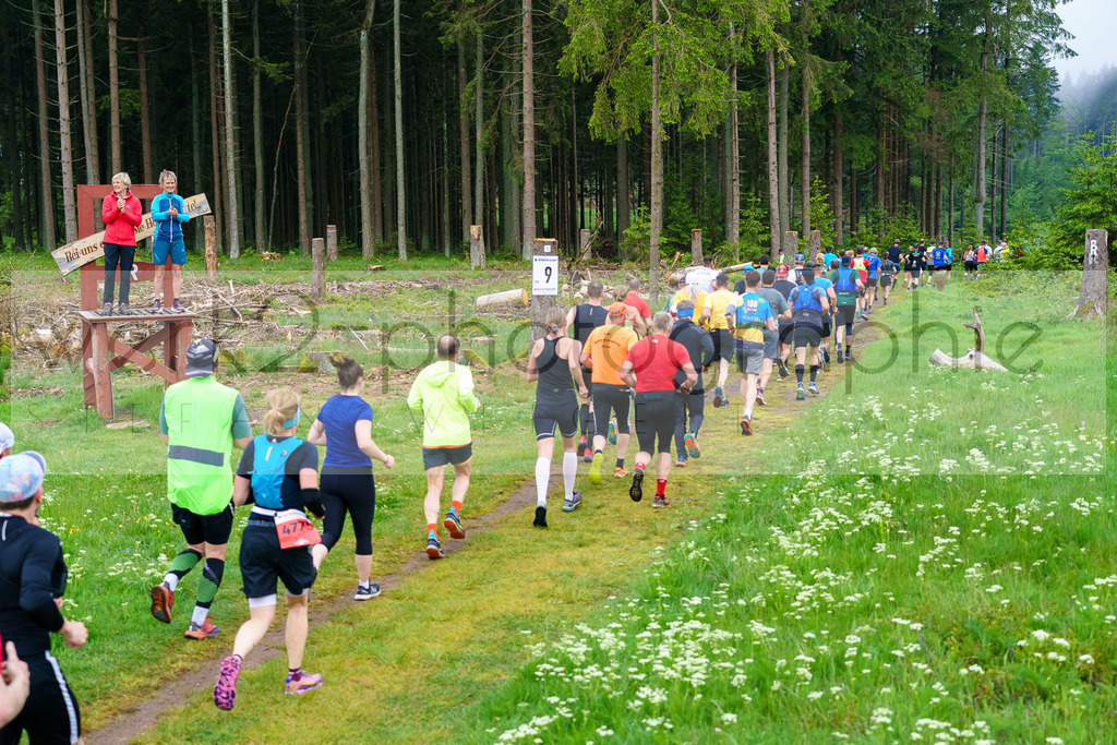 Rennsteiglauf Marathon 2024 | 25. Mai 2024 - 42,2 km von Neuhaus nach Schmiedefeld