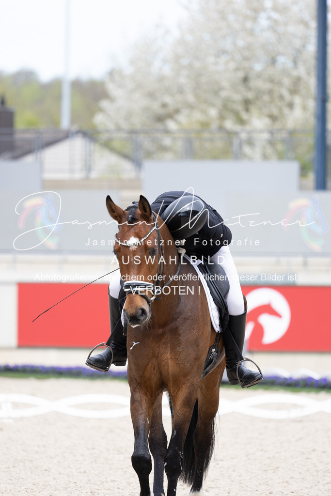 126A6351 | jasminmetznerfotografie