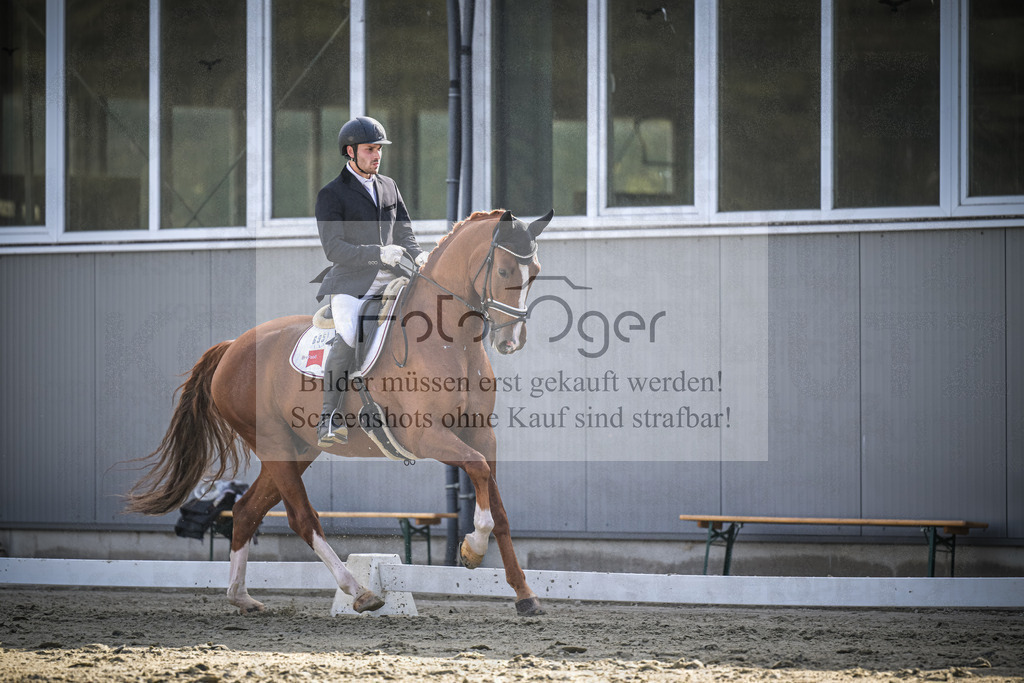 DOS_0690 | Entdecke hochwertige Reitturnierfotos von Foto Oger. Professionell, emotional und authentisch – jetzt Lieblingsmomente im Shop bestellen.Deutschlandweite Turnierfotografie. - Realisiert mit Pictrs.com