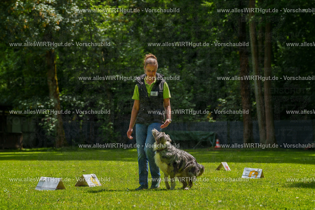 @allesWIRTHgut_Tierfotografie - www.allesWIRTHgut.de - 7R505871 | Professionelle Tierfotografie in Mönchengladbach von Daniel Wirth (allesWIRTHgut). Liebevolle & natürliche Bilder von Hunden & Katzen für unvergessliche Erinnerungen.
