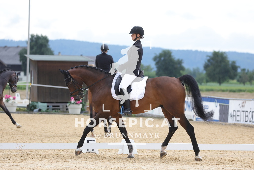 0P6A7957 | Willkommen bei Brunnmayr - Design & Fotografie – Ihrem Spezialisten für Reitturniere und Pferdeveranstaltungen in Oberösterreich, Salzburg und Bayern! Seit über 17 Jahren sind wir leidenschaftlich dabei.