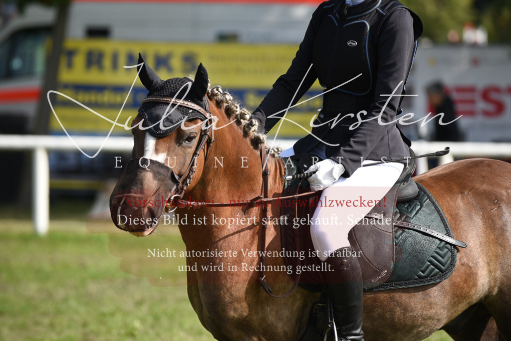 DSC_8942 | Pferde- und Turnierfotografie in Westsachsen. Pferdeportraits, Auftragszeichnungen und intuitive Kunst.