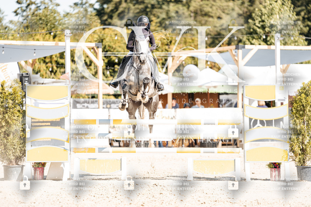 CK902641 | Turnierfotografie Pferdefotografie Trier Rheinland-Pfalz Pferdesport Reitsport Tierfotografie Sportfotografie Pferdevideo Pferdevideografie Equestrianvideography equestrianphotography  - Realisiert mit Pictrs.com