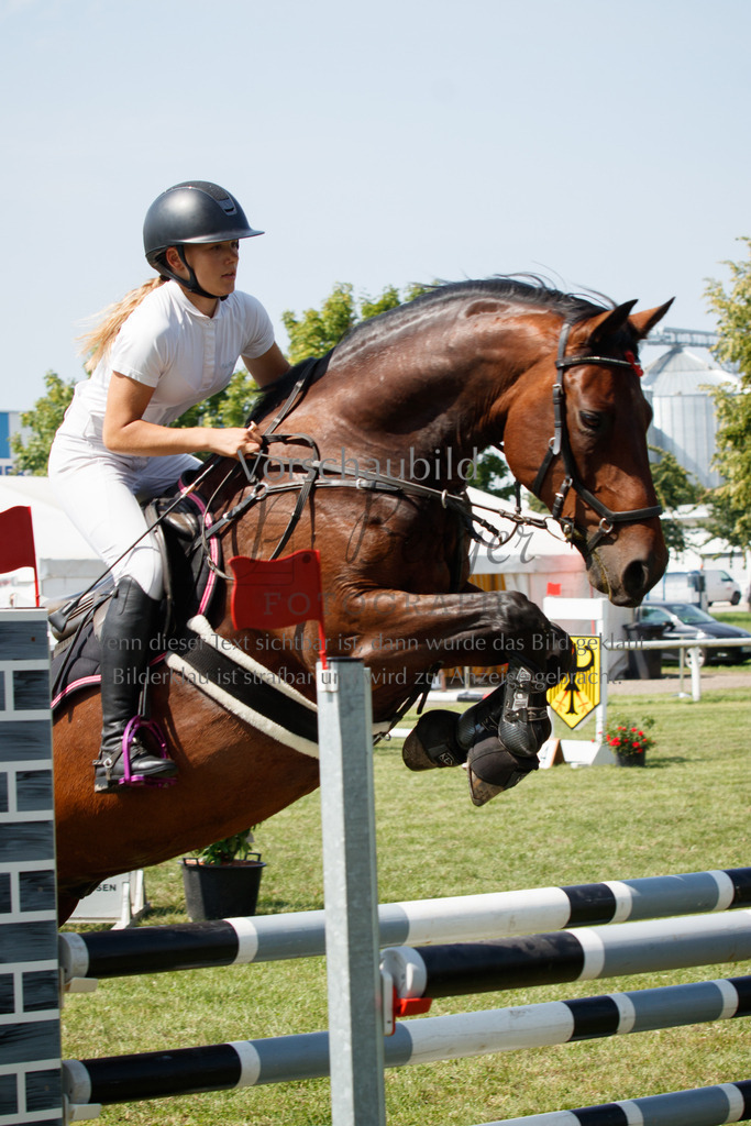 IMG_3557 | P. Berger Fotografie - Realisiert mit Pictrs.com