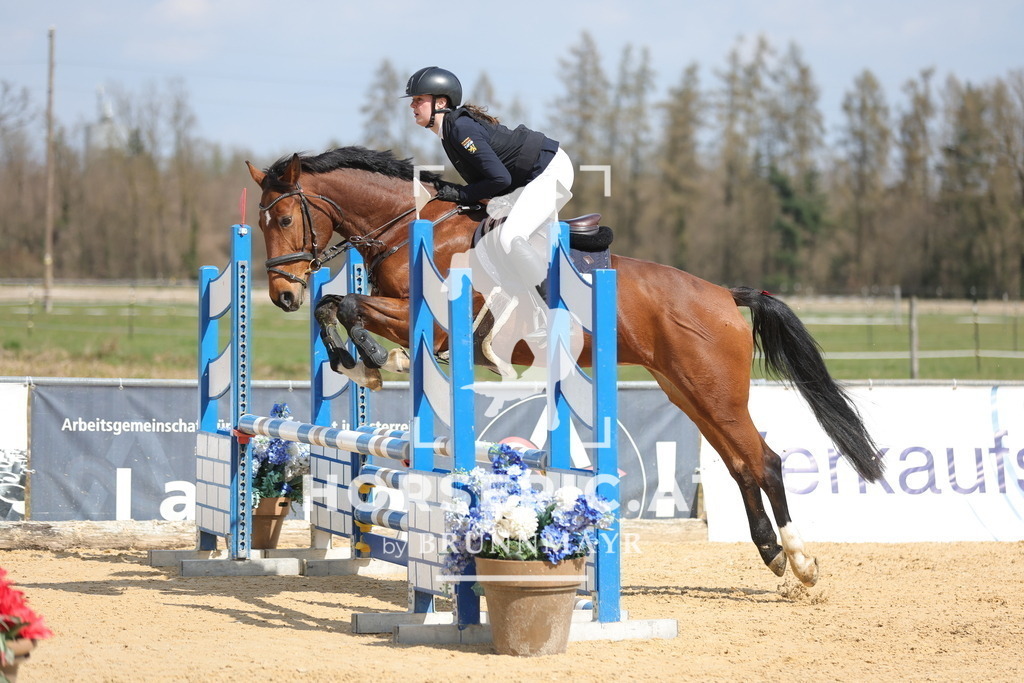 0P6A7730 | Willkommen bei Brunnmayr - Design & Fotografie – Ihrem Spezialisten für Reitturniere und Pferdeveranstaltungen in Oberösterreich, Salzburg und Bayern! Seit über 17 Jahren sind wir leidenschaftlich dabei.