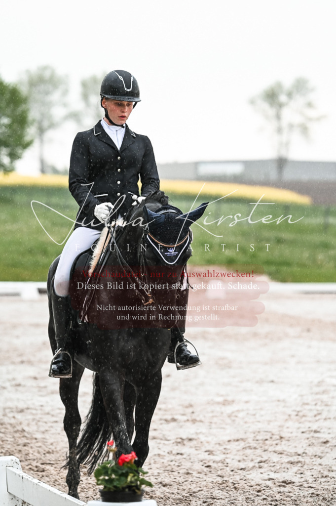 DSC_4736 | Pferde- und Turnierfotografie in Westsachsen. Pferdeportraits, Auftragszeichnungen und intuitive Kunst.