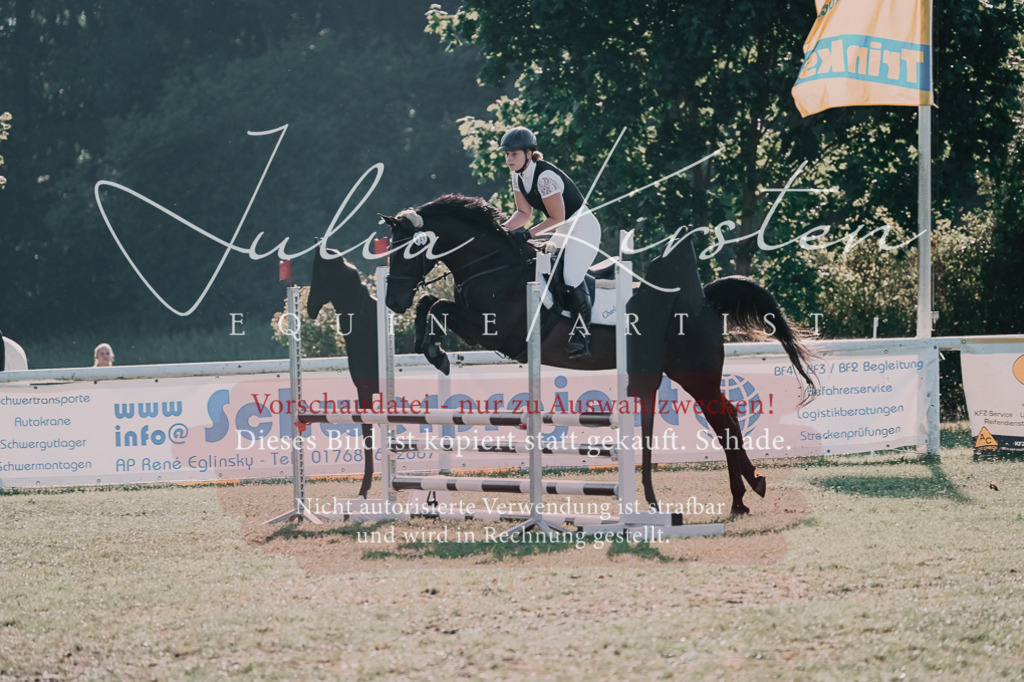 DSC_4510 | Pferde- und Turnierfotografie in Westsachsen. Pferdeportraits, Auftragszeichnungen und intuitive Kunst.