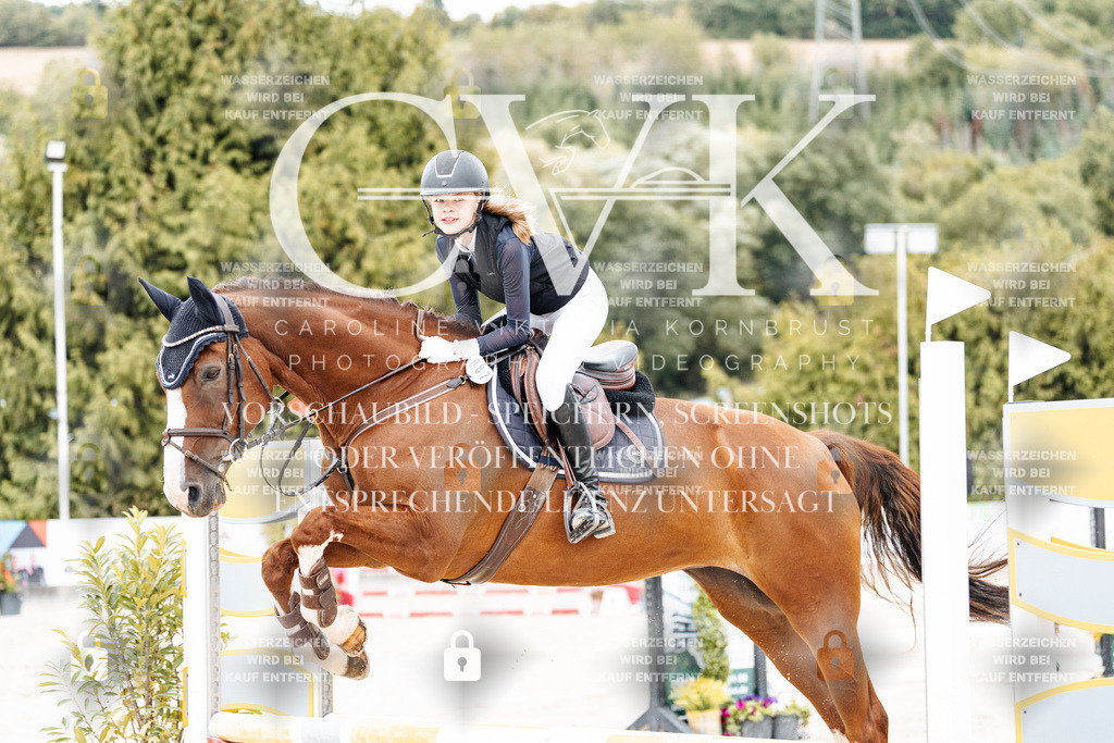 CK907922 | Turnierfotografie Pferdefotografie Trier Rheinland-Pfalz Pferdesport Reitsport Tierfotografie Sportfotografie Pferdevideo Pferdevideografie Equestrianvideography equestrianphotography  - Realisiert mit Pictrs.com