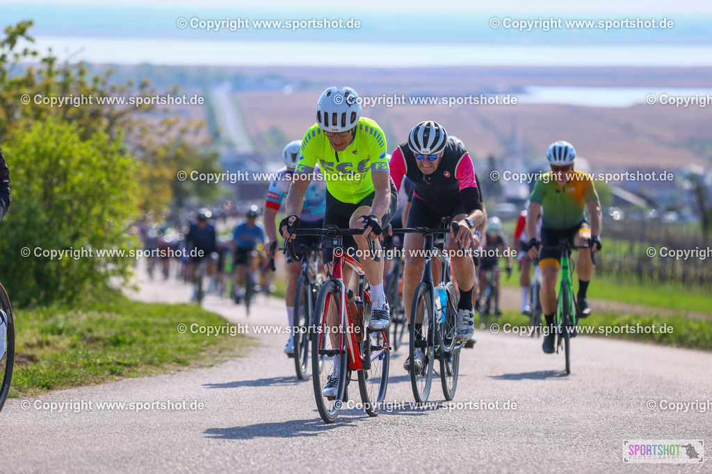 TRA_0941 | Neusiedlersee Radmarathon 2026@sportshot_your_pictrs #yourpictures#roadtowm2029 #nrm #neusiedlerseeradmarathon #neusiedlersee #neusiedlerseetourismus #burgenland #mörbisch #nrm26 #burgenlandtourismus #voglundco #poweredbyburgenlandtourismus #radsport #rad #marathon #ucigranfondo #visitburgenland #ucigranfondoworldseries