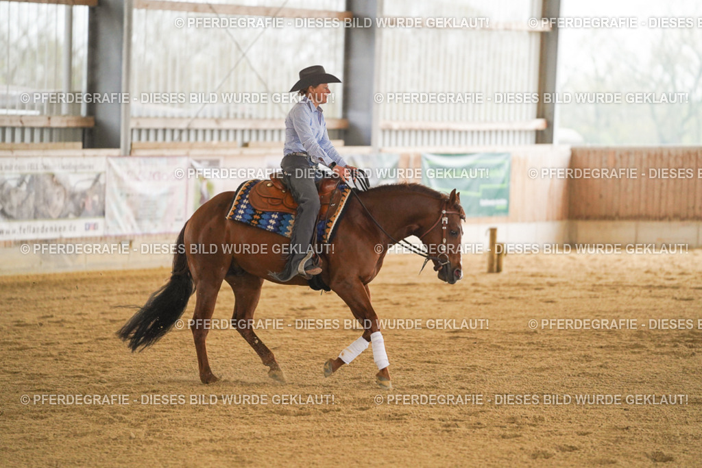 DSC00003 | Pferdegrafie