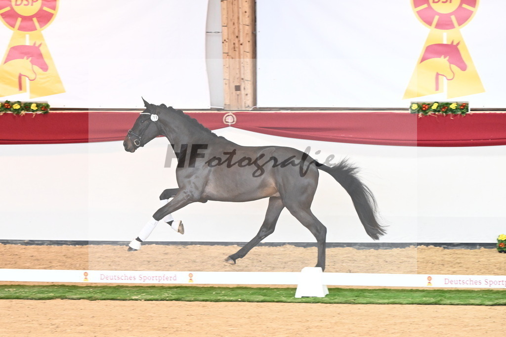 Kat.-Nr. 60 v. Raven_Klakow_2240751 | hf-fotografie - Realisiert mit Pictrs.com