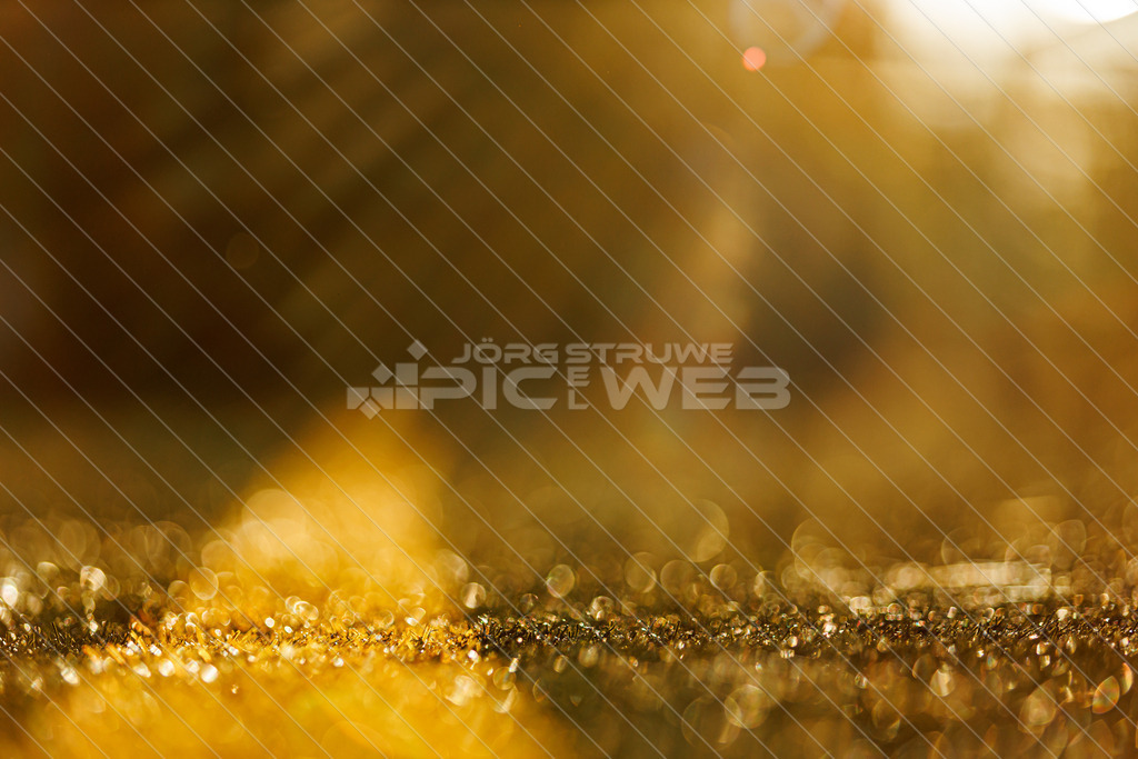 20220622_JSpicselweb_R3__0182 | Dein Fotograf aus dem Landkreis Stade für Sport und Events - Realisiert mit Pictrs.com