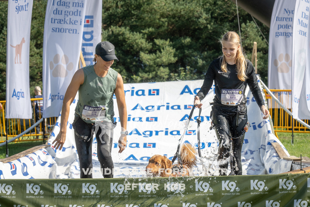 1048_ZZ99626 | kk-dogfotos