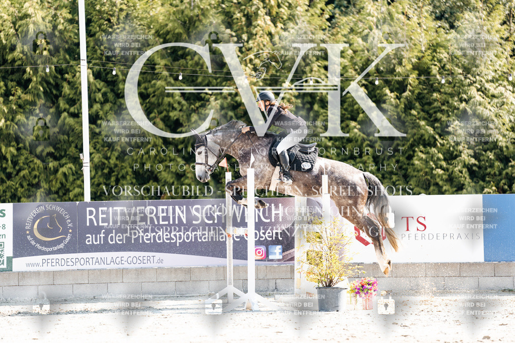 CK902581 | Turnierfotografie Pferdefotografie Trier Rheinland-Pfalz Pferdesport Reitsport Tierfotografie Sportfotografie Pferdevideo Pferdevideografie Equestrianvideography equestrianphotography  - Realisiert mit Pictrs.com