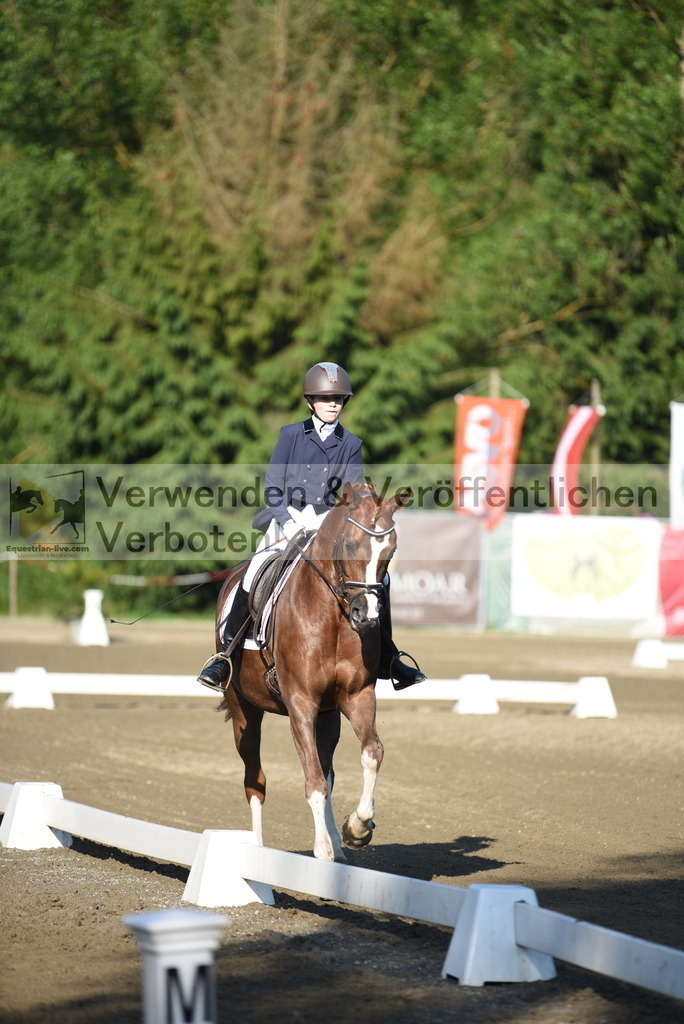 DSC_6769 | equestrian-live-com
