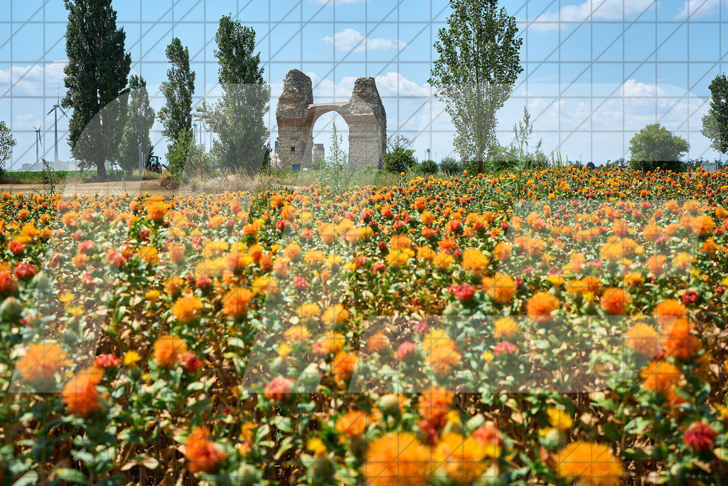 Heidentor | 15.07.2025: Heidentor in Carnuntum, Niederösterreich, ÖsterreichFoto: © 2025 Martin Bihounek / martinbihounek.comInsta: @martinbihounekcomFB: @martinbihounekphotography