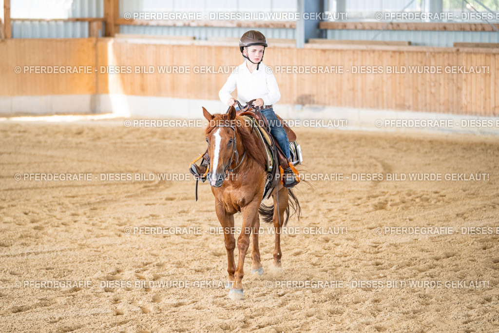 DSC03156 | Pferdegrafie