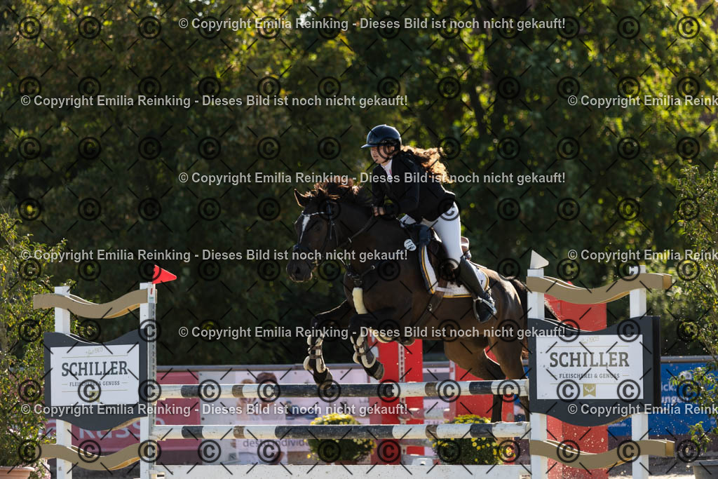 CL5A1118 | Emilia Reinking Fotografie - Realisiert mit Pictrs.com