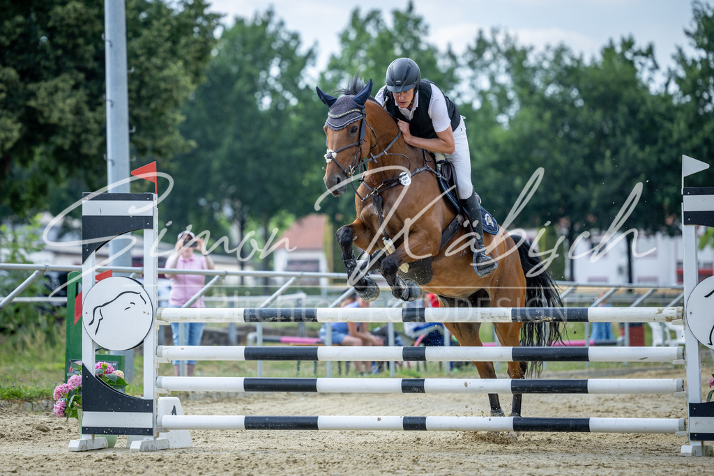 20260704-_3LI1605 | Tierfotografie Pferde, Hunde, Katzen, Haustiere.
Turnierfotografie Reitturniere, Reiten, Springreiten, Dressur in Hanau, dem Main-Kinzig-Kreis und dem Rhein-Main- Gebiet um Frankfurt