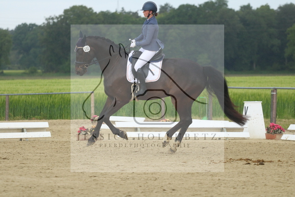 IMG_5695 | jessicahollubetz_pferdephotographie - Realisiert mit Pictrs.com