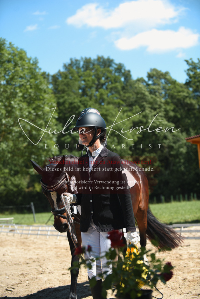 DSC_2148 | Pferde- und Turnierfotografie in Westsachsen. Pferdeportraits, Auftragszeichnungen und intuitive Kunst.
